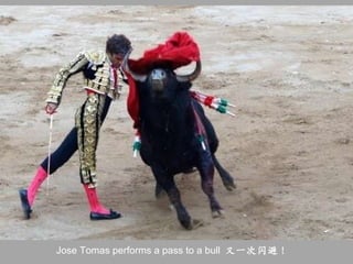 Jose Tomas performs a pass to a bull  又一次闪避！   
