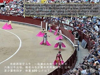 Spanish-style bullfighting is called a  corrida de toros  (literally a "running of bulls"). In traditional bullfighting three  matadores  , each fight two out of a total of six fighting bulls, each of which is at least four years old and weighs up to about 600 kg/1,300 lb. 传统西班牙斗牛，一场演出共有三名斗牛士，六条公牛出场。每名斗牛士要杀死两条公牛。公牛至少要有四岁，体重 600 公斤以下。 