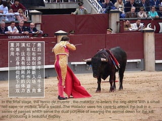 In the final stage, the  tercio de muerte  , the matador re-enters the ring alone with a small red cape, or  muleta , and a sword. The matador uses his cape to attract the bull in a series of passes which serve the dual purpose of wearing the animal down for the kill and producing a beautiful display.   最后一步杀牛：斗牛士拿了红布和剑重新入场，用红布引逗公牛并作闪避表演，这具有消耗牛的体力并乘牛近身时伺机下剑双重作用 。 