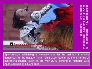 Spanish bull fighter suffers horrific injury as bulls horn enters beneath the chin and comes out of mouth. Spanish-style b...