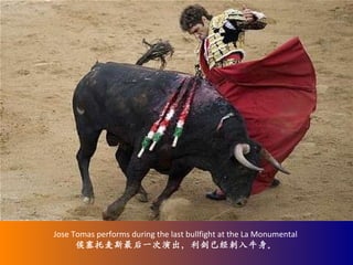 Jose Tomas performs during the last bullfight at the La Monumental  侯塞托麦斯最后一次演出，利剑已经刺入牛身。 