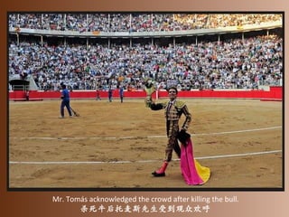 Mr. Tomás acknowledged the crowd after killing the bull. 杀死牛后托麦斯先生受到观众欢呼 