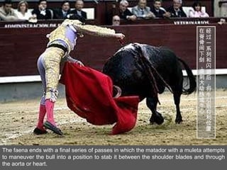 The faena ends with a final series of passes in which the matador with a muleta attempts to maneuver the bull into a posit...