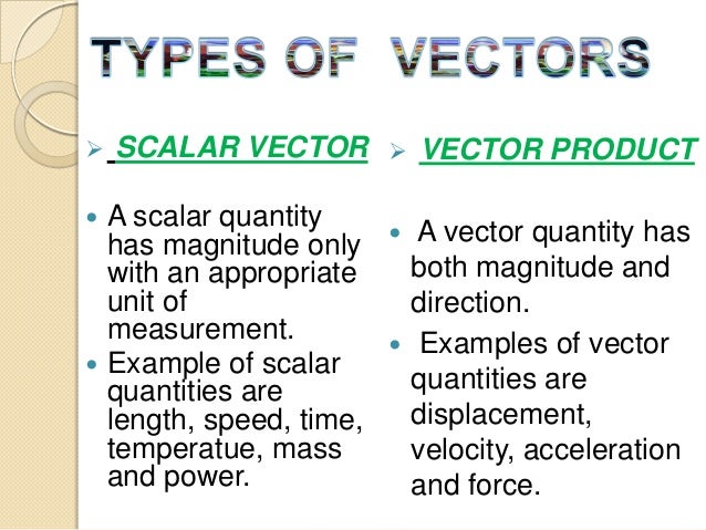 Vector