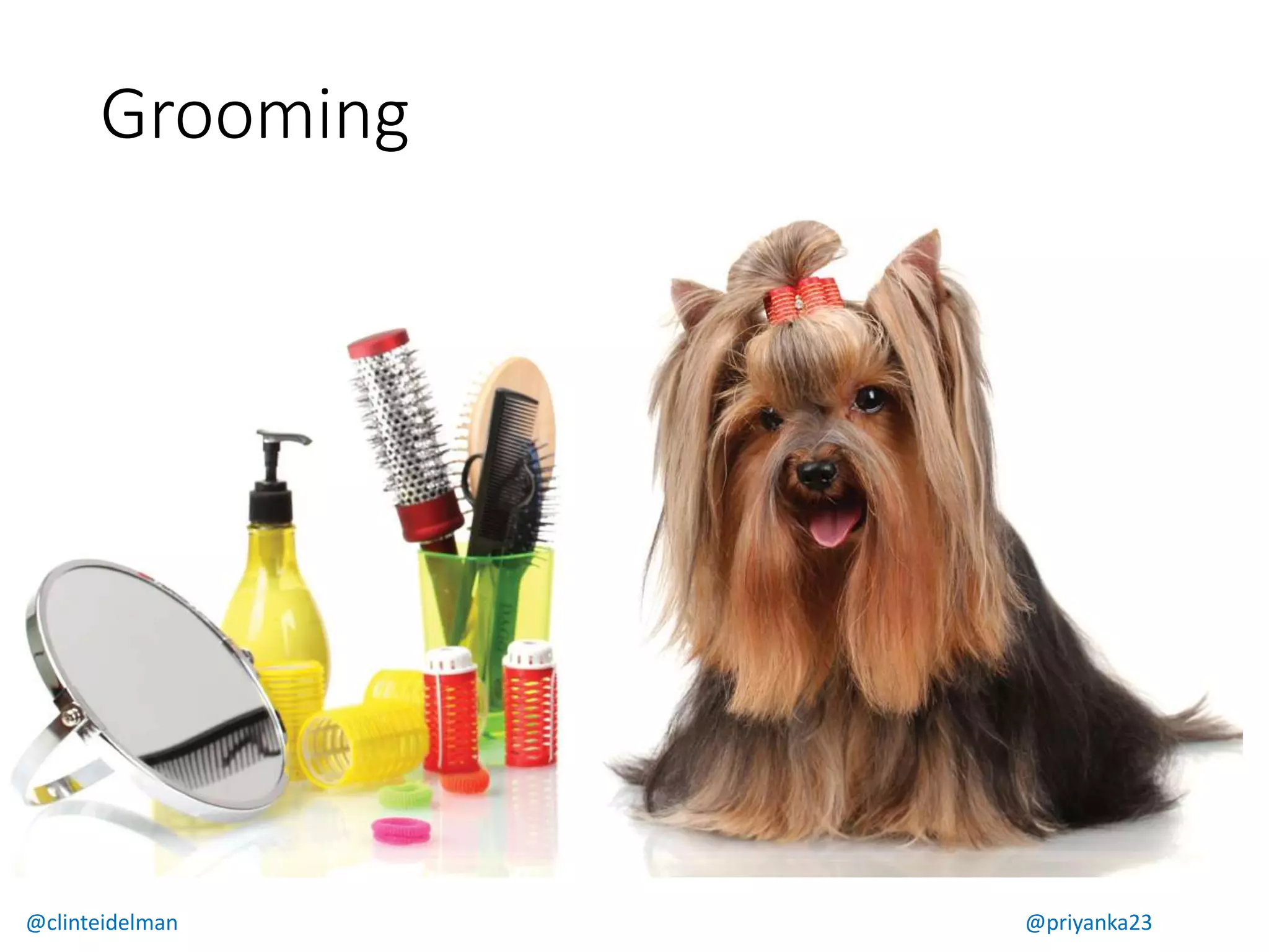 Grooming
@clinteidelman @priyanka23