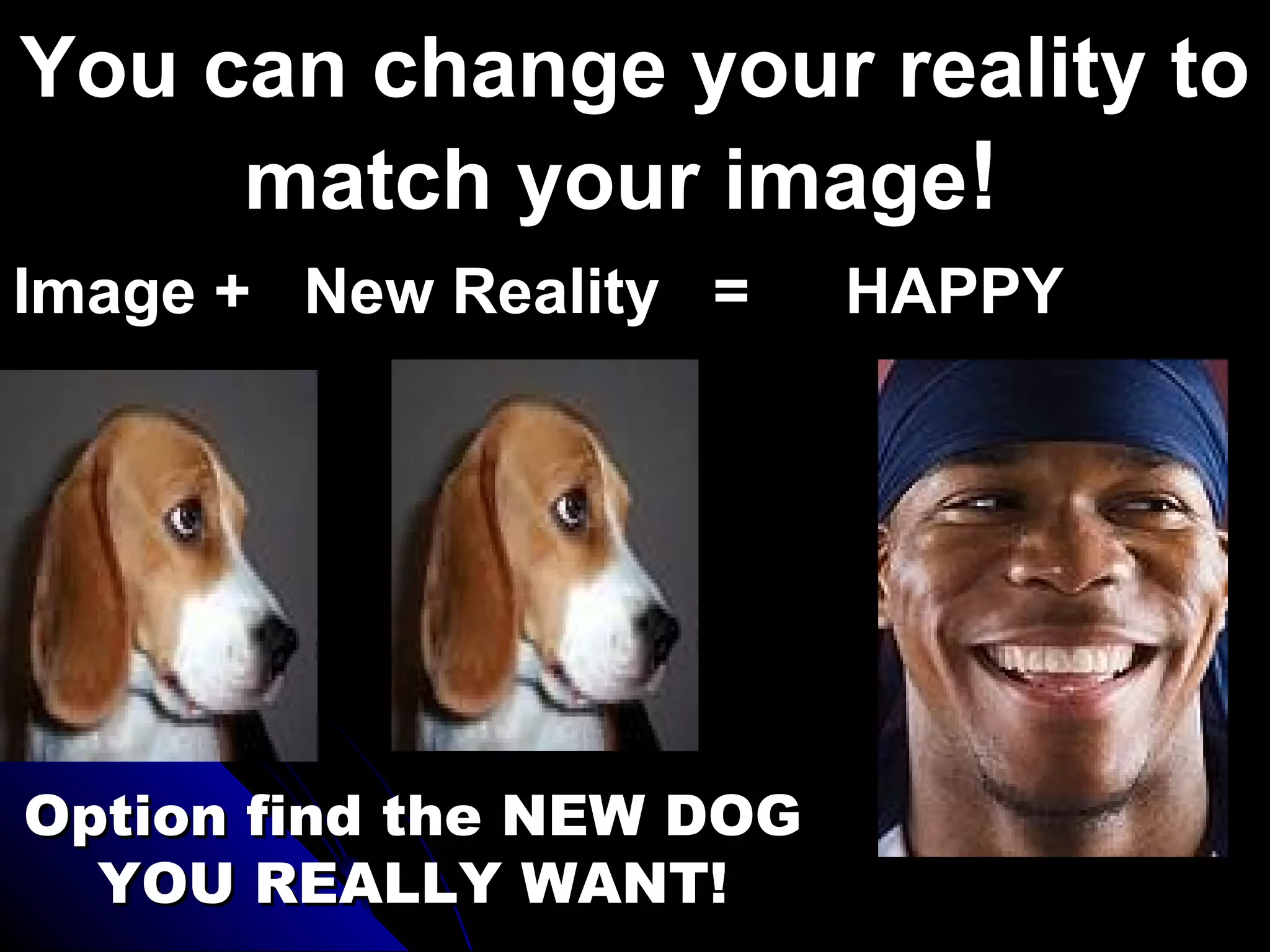 You can change your reality to
     match your image!
Image + New Reality =     HAPPY




Option find the NEW DOG
  YOU REALLY WANT!
 