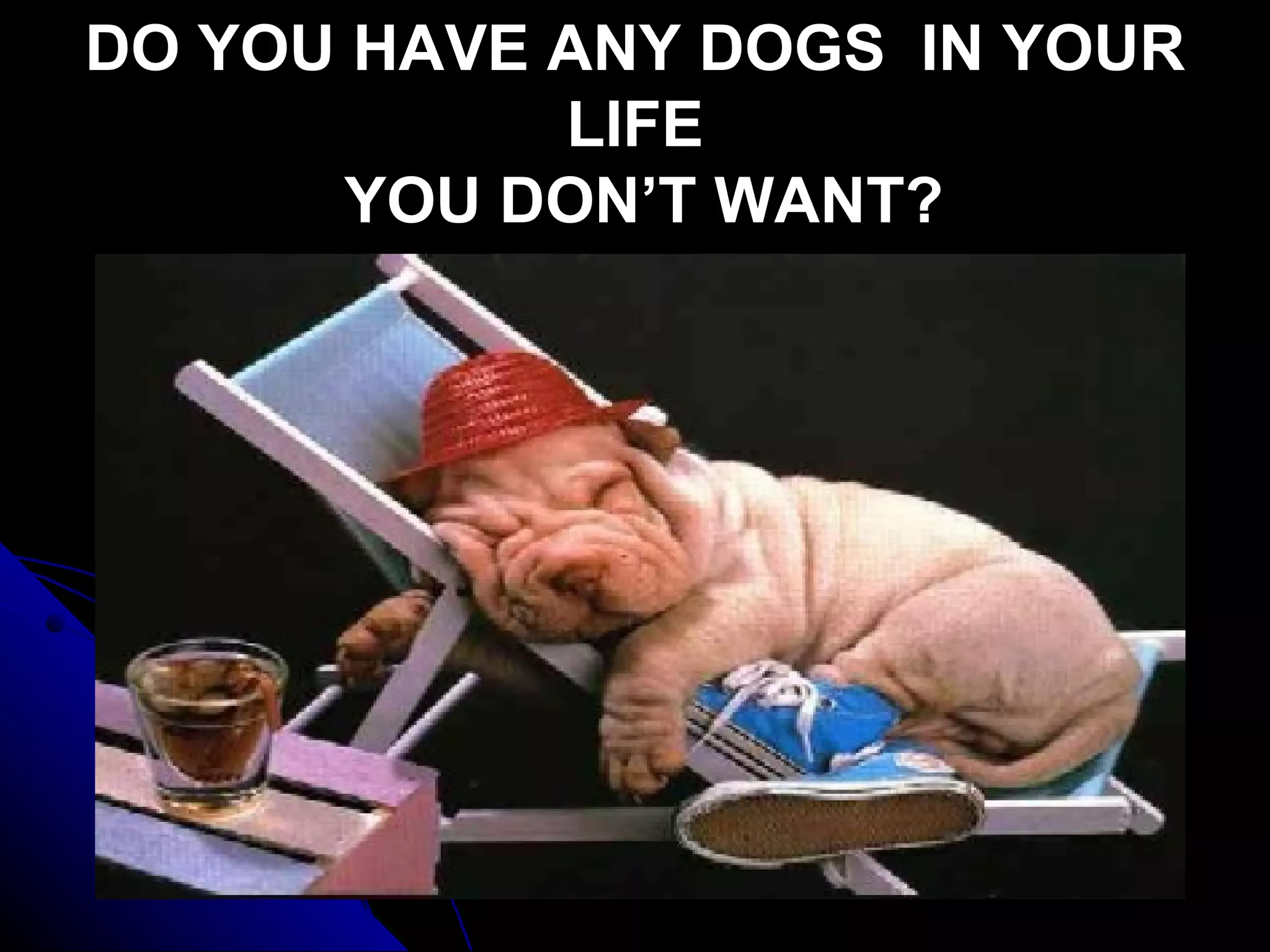 DO YOU HAVE ANY DOGS IN YOUR
            LIFE
       YOU DON’T WANT?
 