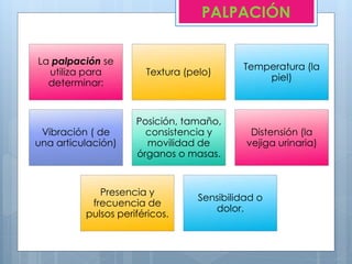 La palpación se
utiliza para
determinar:
Textura (pelo)
Temperatura (la
piel)
Vibración ( de
una articulación)
Posición, tamaño,
consistencia y
movilidad de
órganos o masas.
Distensión (la
vejiga urinaria)
Presencia y
frecuencia de
pulsos periféricos.
Sensibilidad o
dolor.
PALPACIÓN
 