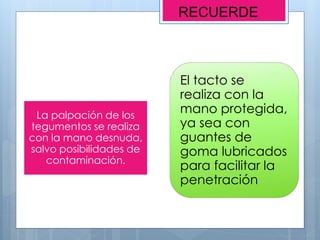 La palpación de los
tegumentos se realiza
con la mano desnuda,
salvo posibilidades de
contaminación.
El tacto se
realiza con la
mano protegida,
ya sea con
guantes de
goma lubricados
para facilitar la
penetración
RECUERDE
 