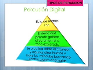 Percusión Digital
TIPOS DE PERCUSION
 