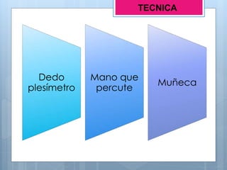 Dedo
plesímetro
Mano que
percute
Muñeca
TECNICA
 