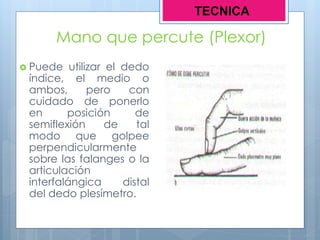 Mano que percute (Plexor)
 Puede utilizar el dedo
índice, el medio o
ambos, pero con
cuidado de ponerlo
en posición de
semiflexión de tal
modo que golpee
perpendicularmente
sobre las falanges o la
articulación
interfalángica distal
del dedo plesímetro.
TECNICA
 