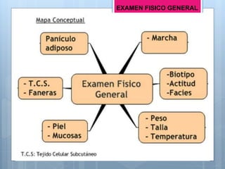 EXAMEN FISICO GENERAL
 
