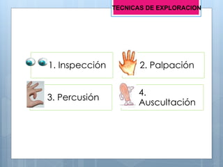 1. Inspección 2. Palpación
3. Percusión
4.
Auscultación
TECNICAS DE EXPLORACION
 