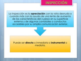 INSPECCIÓN
Puede ser directa o inmediata o instrumental o
mediata.
La inspección es la apreciación con la vista desnuda o
cuando más con la ayuda de una lente de aumento
de las características del cuerpo en su superficie
externa y de algunas cavidades o conductos
accesibles por su amplia comunicación exterior.
 