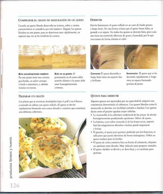 Las tecnicas del chef   le cordon bleu