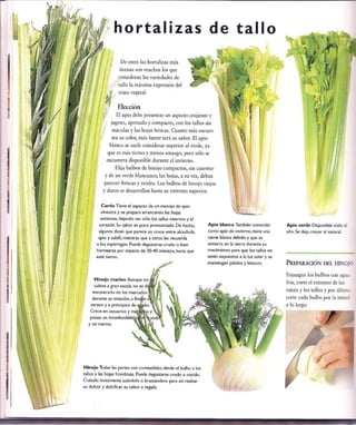 Las tecnicas del chef   le cordon bleu