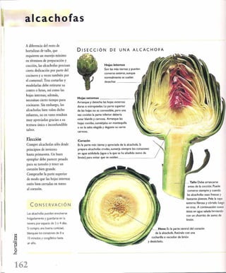 Las tecnicas del chef   le cordon bleu