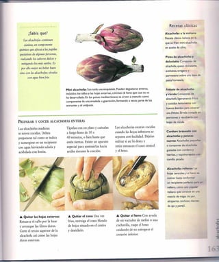 Las tecnicas del chef   le cordon bleu