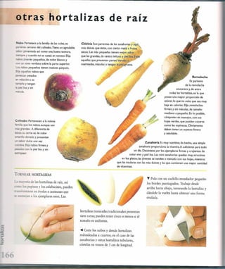 Las tecnicas del chef   le cordon bleu