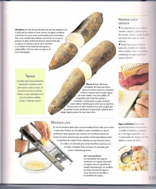 Las tecnicas del chef   le cordon bleu