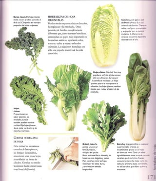 Las tecnicas del chef   le cordon bleu