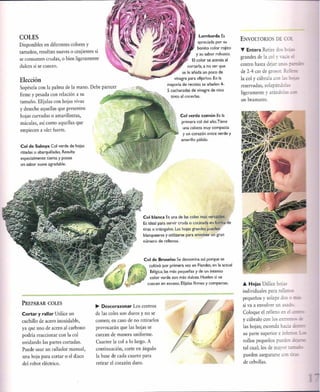 Las tecnicas del chef   le cordon bleu