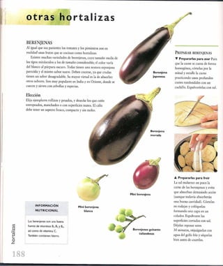 Las tecnicas del chef   le cordon bleu