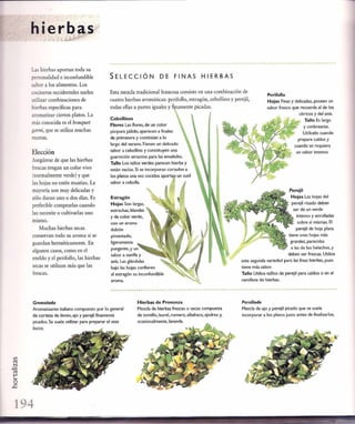 Las tecnicas del chef   le cordon bleu