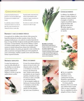 Las tecnicas del chef   le cordon bleu