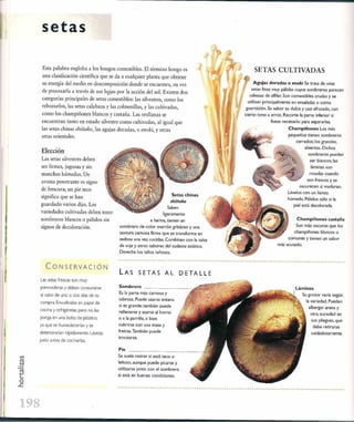 Las tecnicas del chef   le cordon bleu