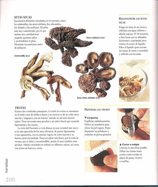 Las tecnicas del chef   le cordon bleu