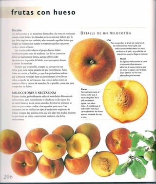 Las tecnicas del chef   le cordon bleu