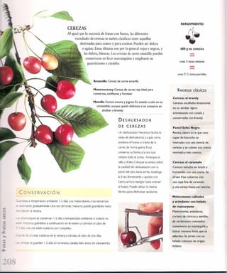 Las tecnicas del chef   le cordon bleu