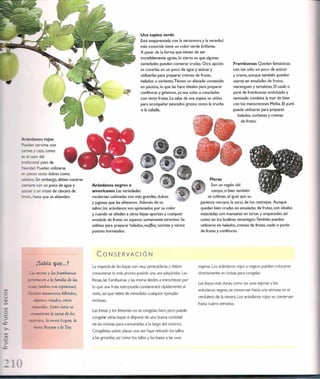 Las tecnicas del chef   le cordon bleu