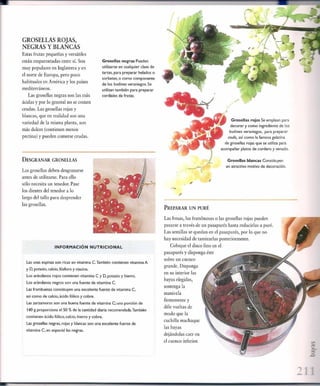 Las tecnicas del chef   le cordon bleu