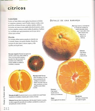 Las tecnicas del chef   le cordon bleu