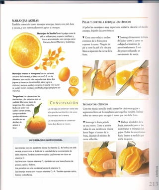 Las tecnicas del chef   le cordon bleu