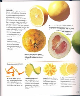 Las tecnicas del chef   le cordon bleu