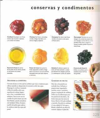 Las tecnicas del chef   le cordon bleu