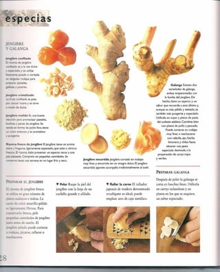 Las tecnicas del chef   le cordon bleu