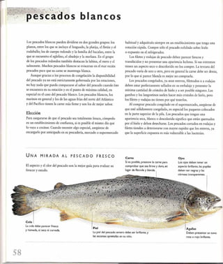 Las tecnicas del chef   le cordon bleu