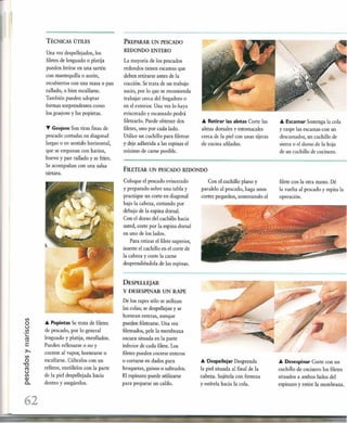 Las tecnicas del chef   le cordon bleu