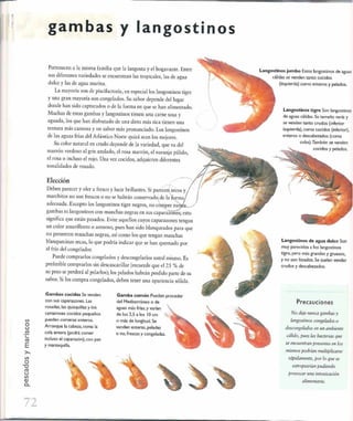 Las tecnicas del chef   le cordon bleu