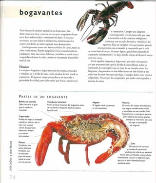 Las tecnicas del chef   le cordon bleu