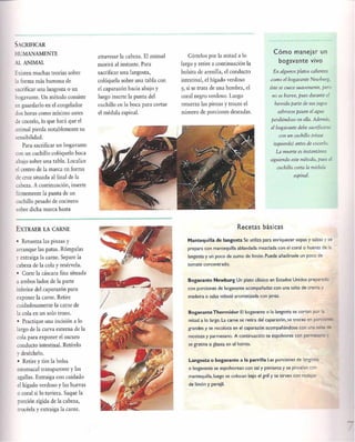 Las tecnicas del chef   le cordon bleu