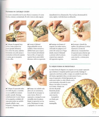 Las tecnicas del chef   le cordon bleu