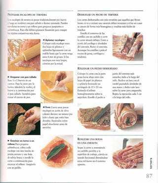 Las tecnicas del chef   le cordon bleu