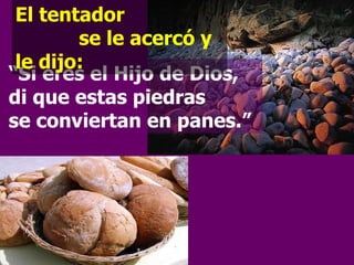 “ Si eres el Hijo de Dios, di que estas piedras  se conviertan en panes.” El tentador  se le acercó y le dijo: 