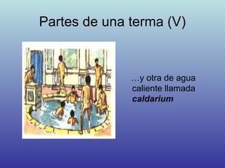 Partes de una terma (V)
…y otra de agua
caliente llamada
caldarium
 
